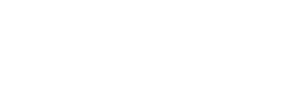 BRAVE.
